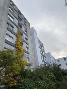 Saisonale Fassadenpflege im Jahresverlauf zur Werterhaltung von Immobilien